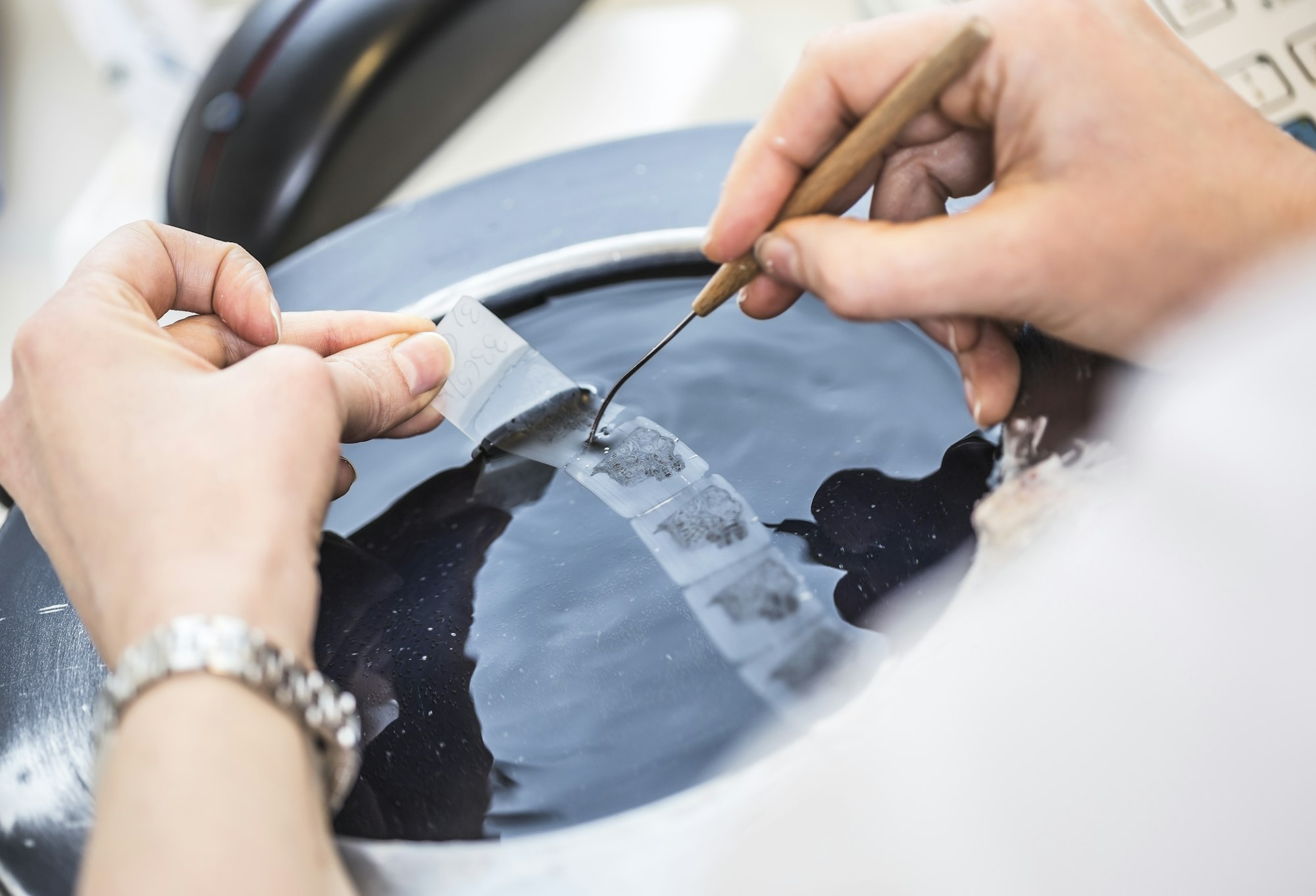 Producing of histological slides